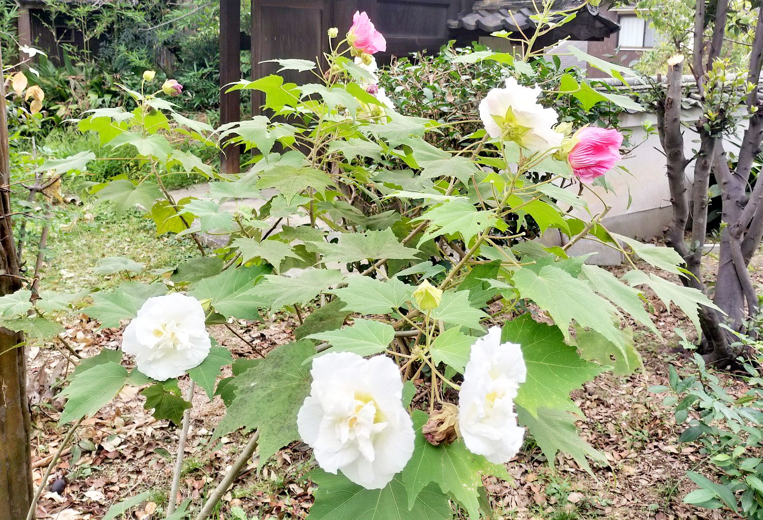 鐘楼の写真